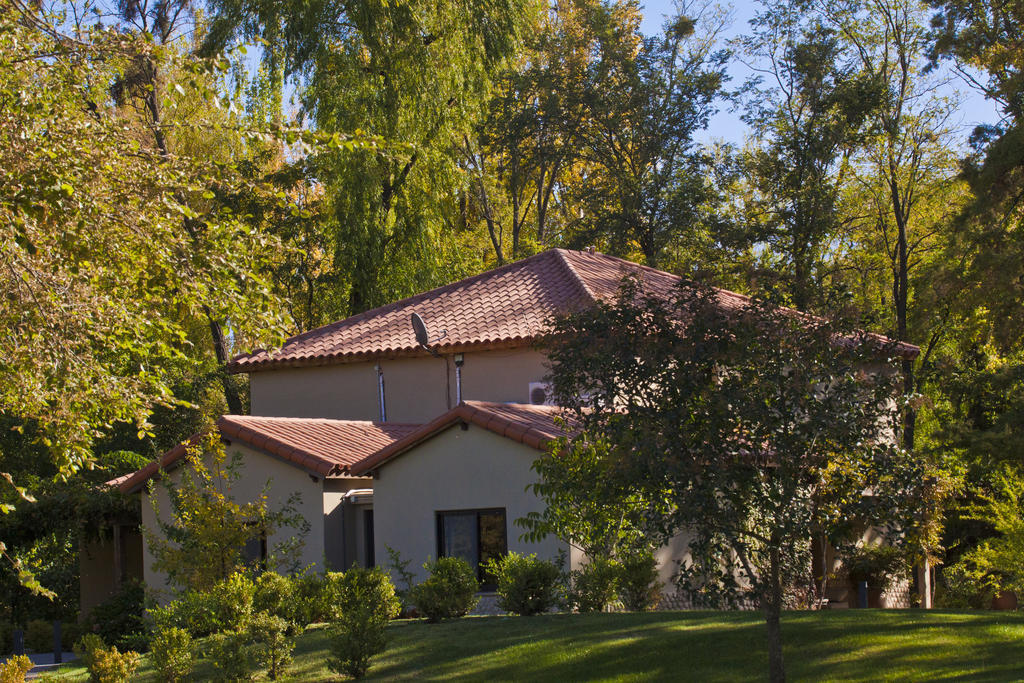 Posada Salentein Los Árboles Rom bilde